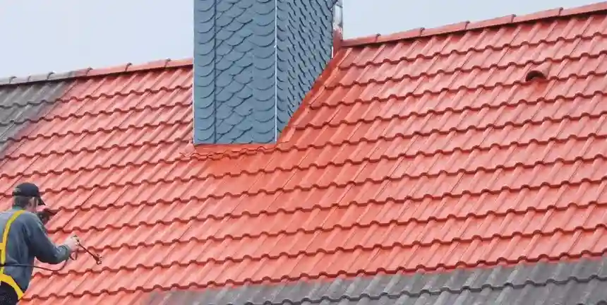 peinture-et-traitement-hydrofuge-colore-de-toiture-au-Luxembourg-service-sur-mesure