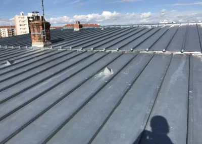 Toiture en zinc &agrave; joint debout avec chemin&eacute;e en briques, immeubles en arri&egrave;re-plan